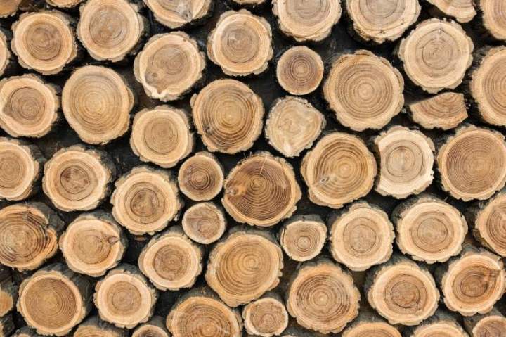 Broyage de bois près de Chavanay